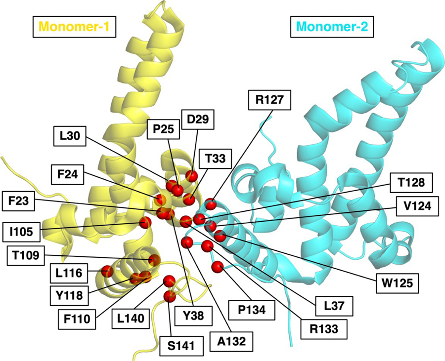 Figure 2.