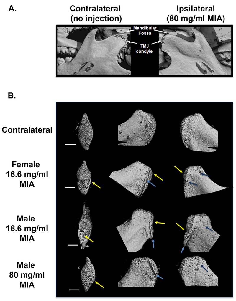 Figure 4: