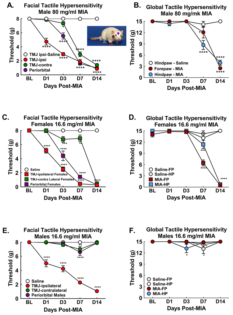 Figure 7: