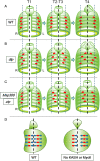 Fig. 6.