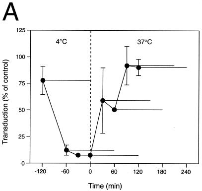 FIG. 5