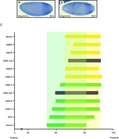 Fig 3.