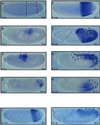 Fig 4.