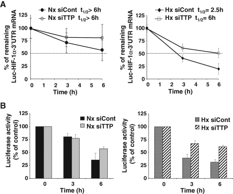 FIGURE 5: