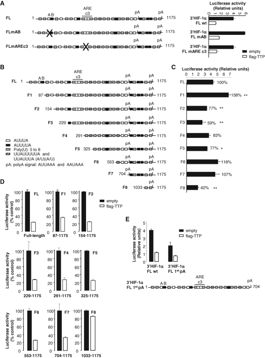 FIGURE 6: