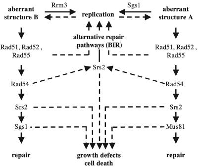 FIG. 9.