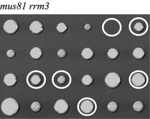 FIG. 8.