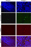 Figure 3: