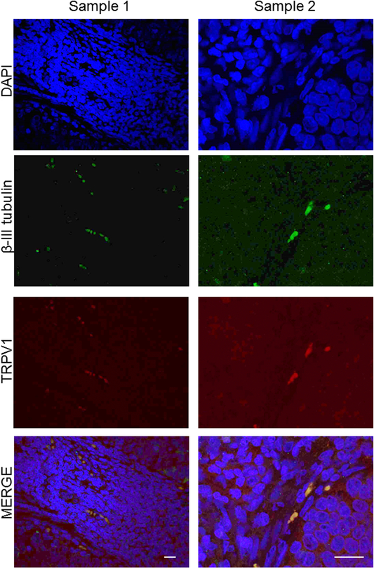 Figure 3: