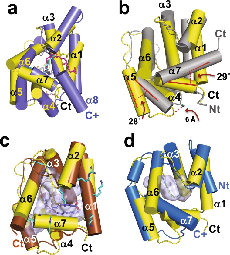 Figure 7