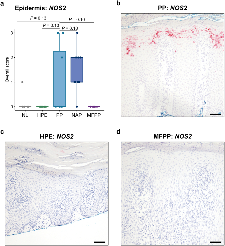 Figure 3