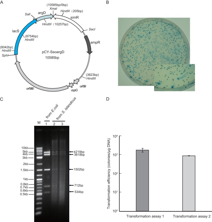 Fig 4