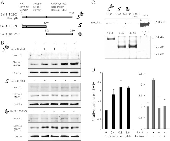 Figure 6