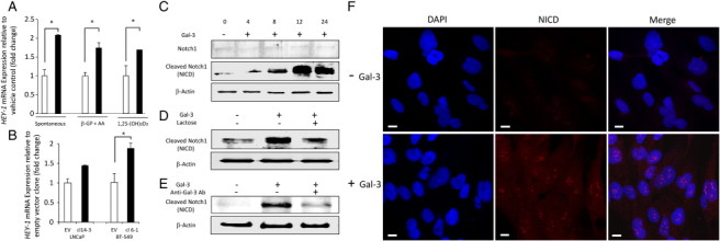 Figure 5