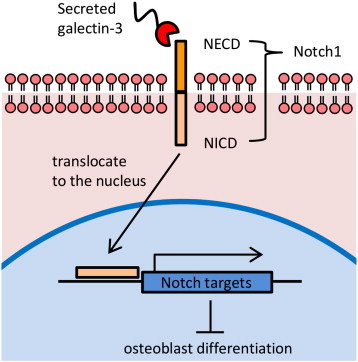 Figure 7