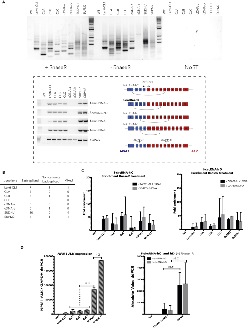 Figure 3