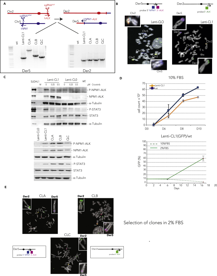 Figure 2