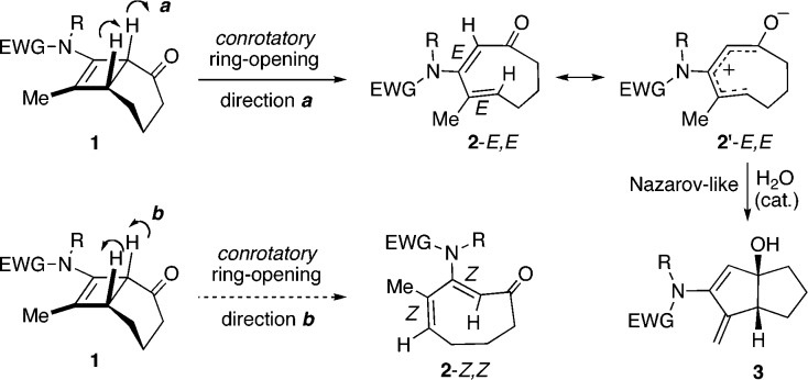 Scheme 3