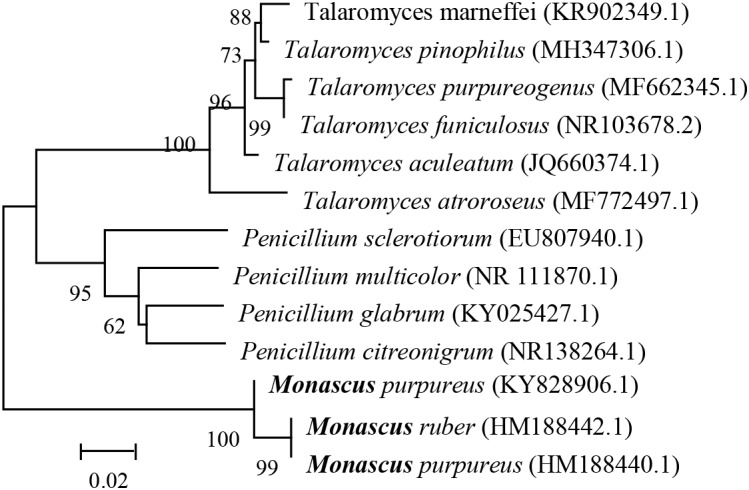 FIGURE 4