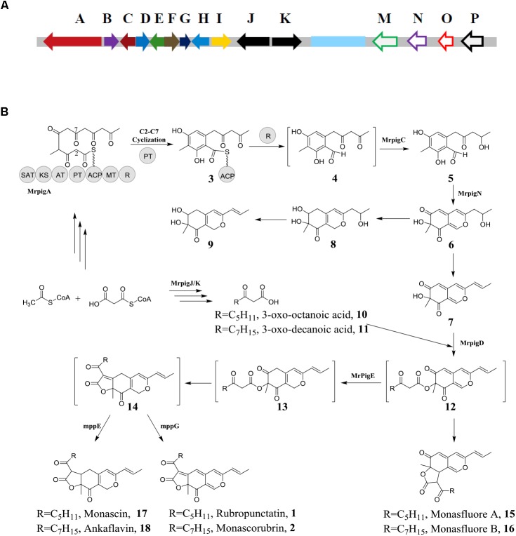 FIGURE 2