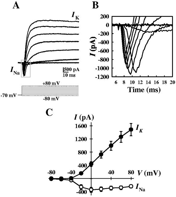 Figure 1.