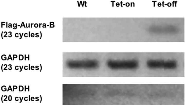 Figure 6.