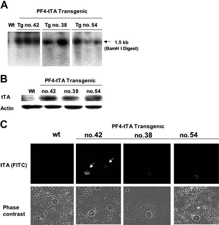 Figure 2.