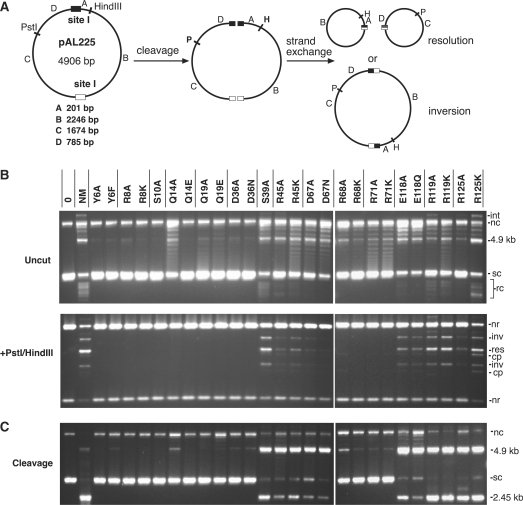 Figure 3.