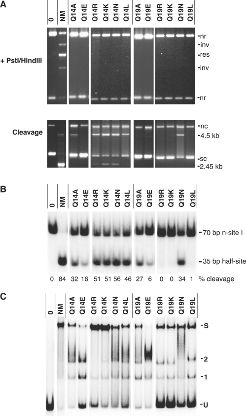 Figure 6.