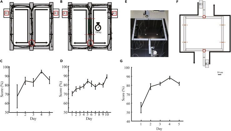 Figure 4