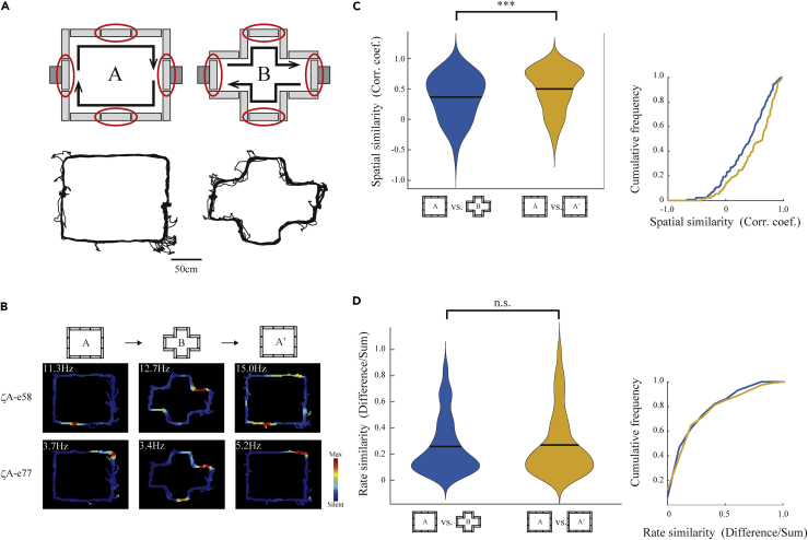 Figure 5