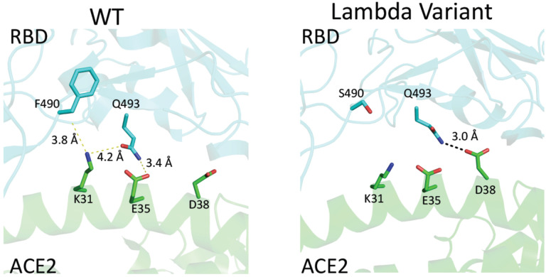 Figure 2.