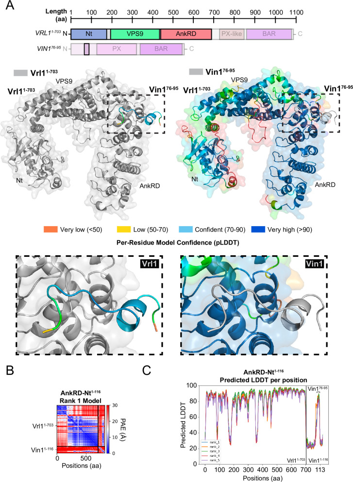 Figure 5—figure supplement 1.