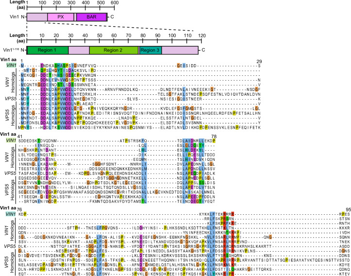 Figure 4—figure supplement 3.