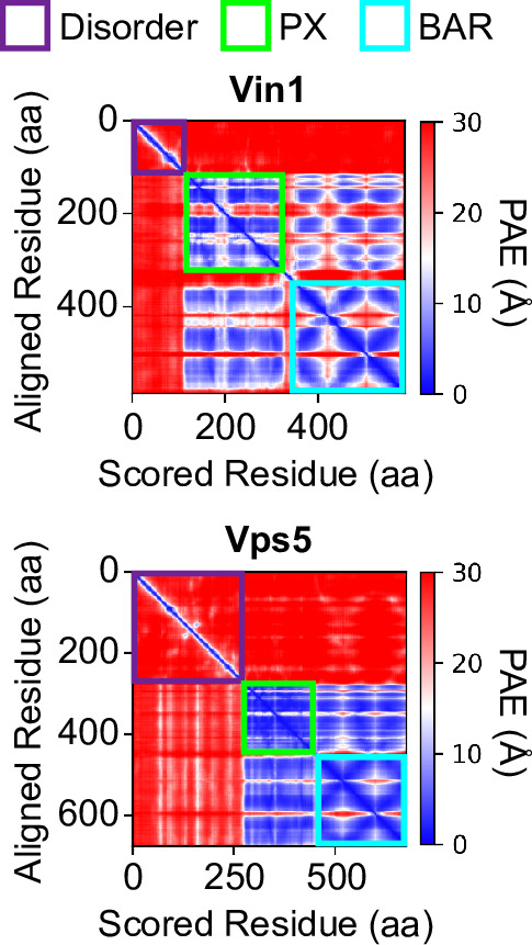 Figure 4—figure supplement 1.