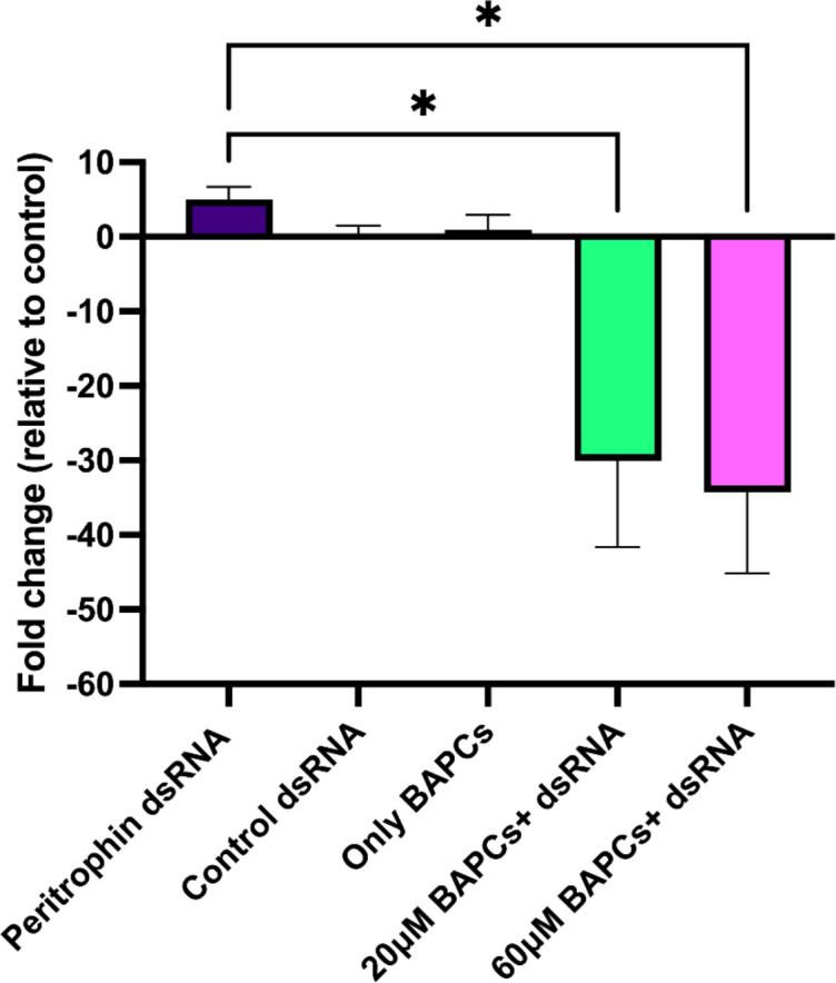 Figure 2