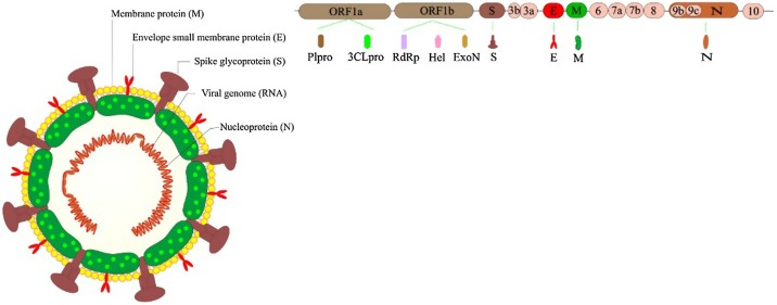 Fig. 2