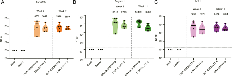 Fig. 6