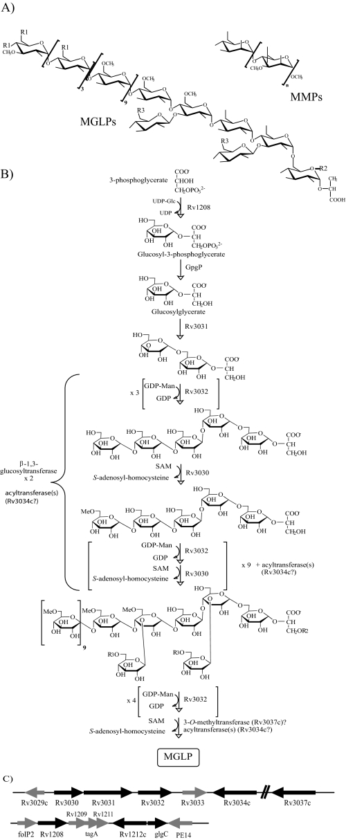 FIGURE 1.