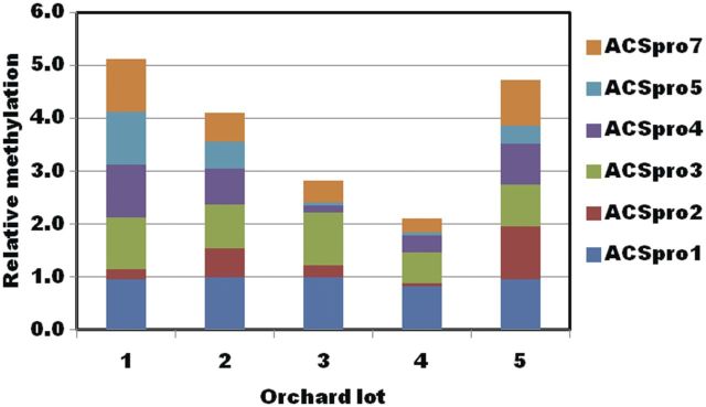 Figure 5.