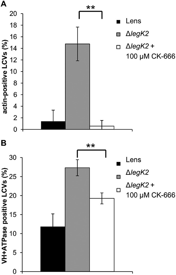 FIG 6 