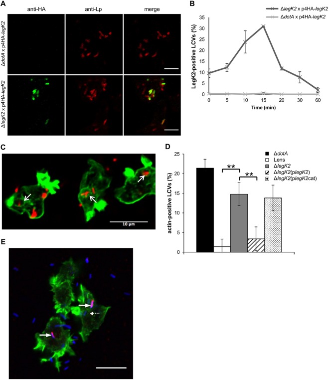 FIG 4 