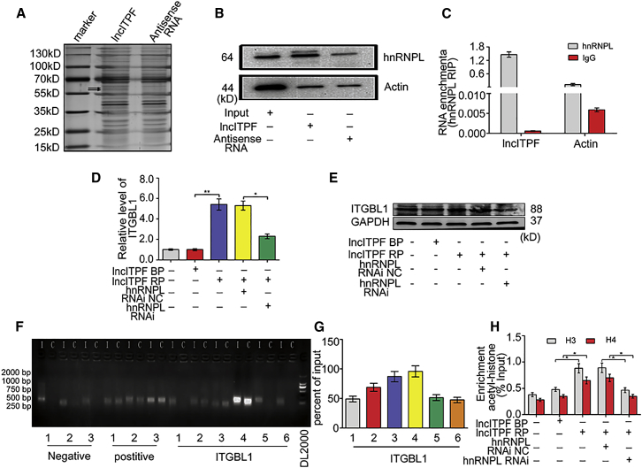 Figure 6