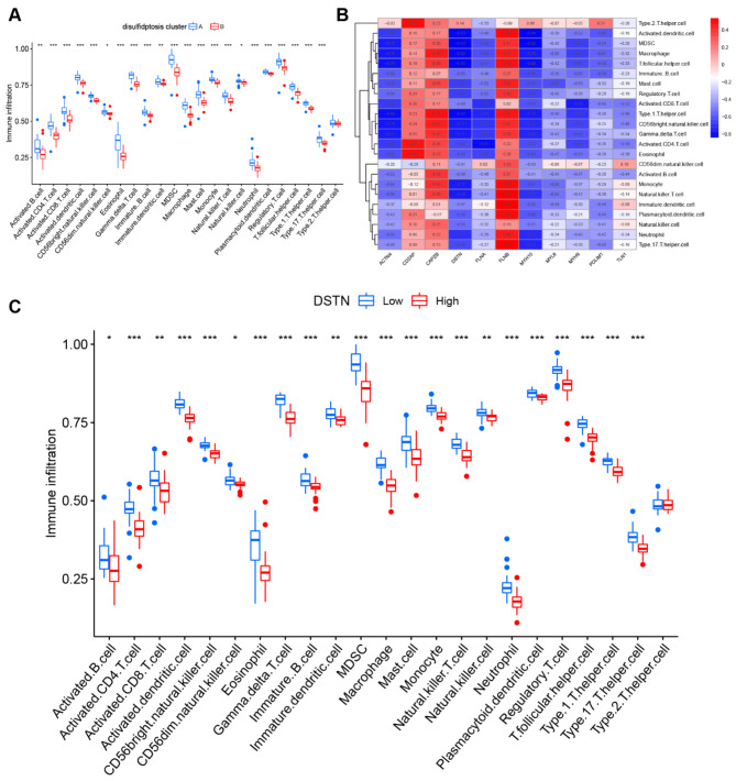 Novel Insights Of Disulfidptosis-mediated Immune Microenvironment ...