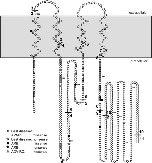 Figure 9