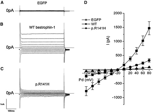 Figure 6