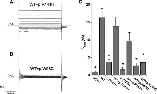 Figure 7