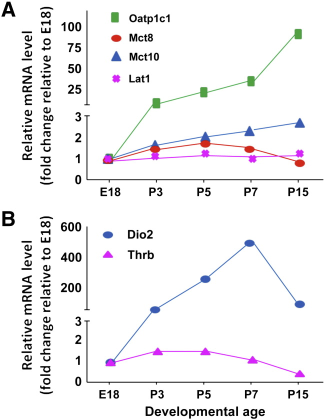 Fig. 2