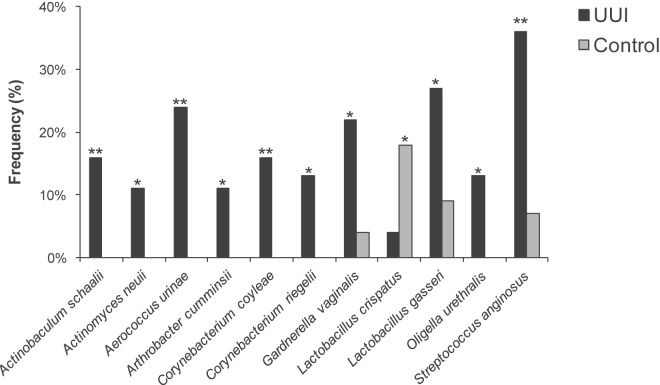 FIG 6 