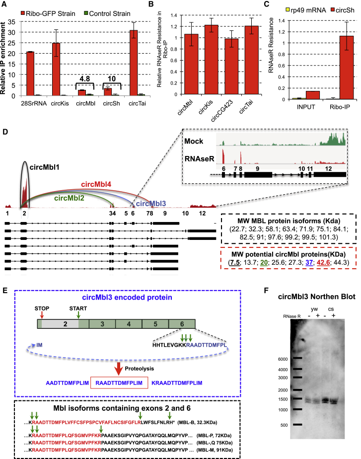 Figure 4